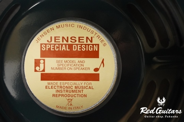 TONE MASTER PRINCETON REVERB